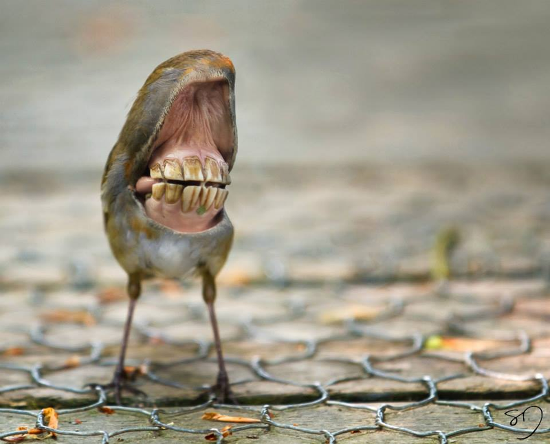 Illustration for article titled Full-On Nightmare Fuel: Birds With Giant Mouths Instead Of Beaks